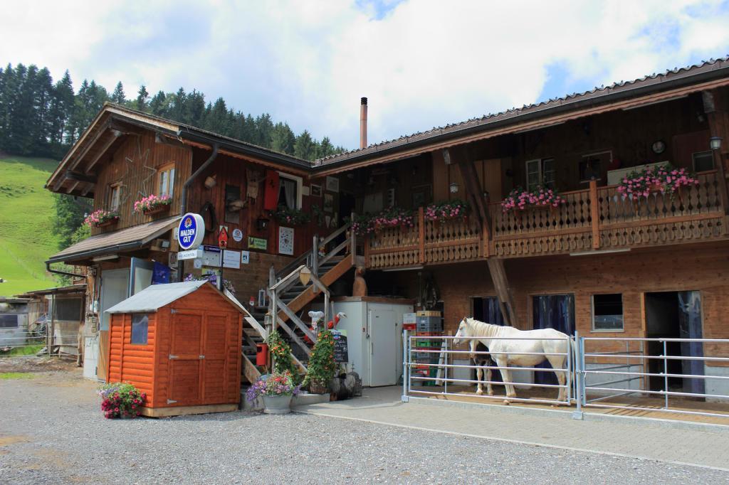 Haflingerhof Fruhboden Villa Egg Dış mekan fotoğraf