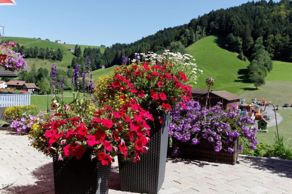 Haflingerhof Fruhboden Villa Egg Dış mekan fotoğraf